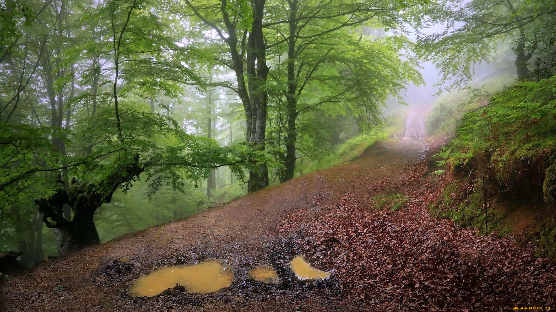 , , , 